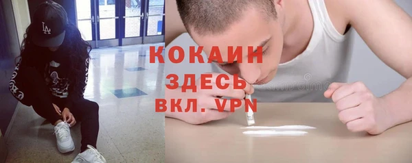 мдпв Михайлов