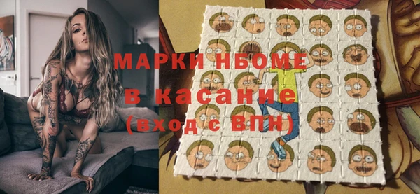 мдпв Михайлов