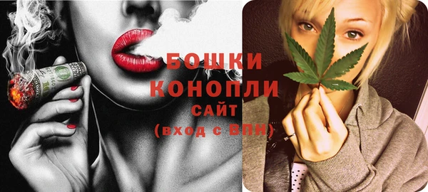 мдпв Михайлов