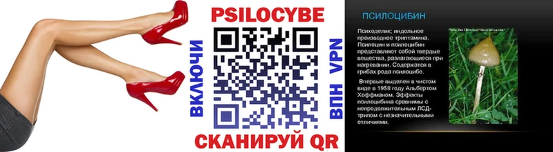 Галлюциногенные грибы Psilocybe  Краснознаменск 
