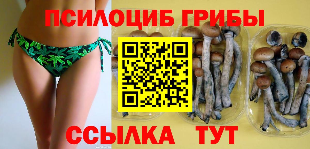 Галлюциногенные грибы GOLDEN TEACHER  Псилоцибиновые грибы мухоморы  магазин    Краснознаменск  Вход с VPN 