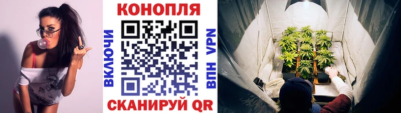 Конопля MAZAR  Краснознаменск 